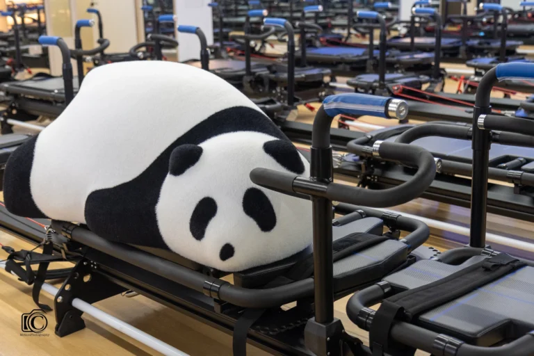 InfinityStudio-283 (1)